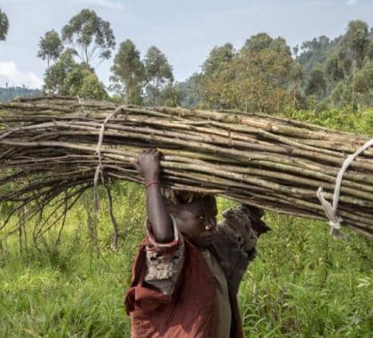 Le travail des enfants en hausse pour la 1ère fois depuis 20 ans