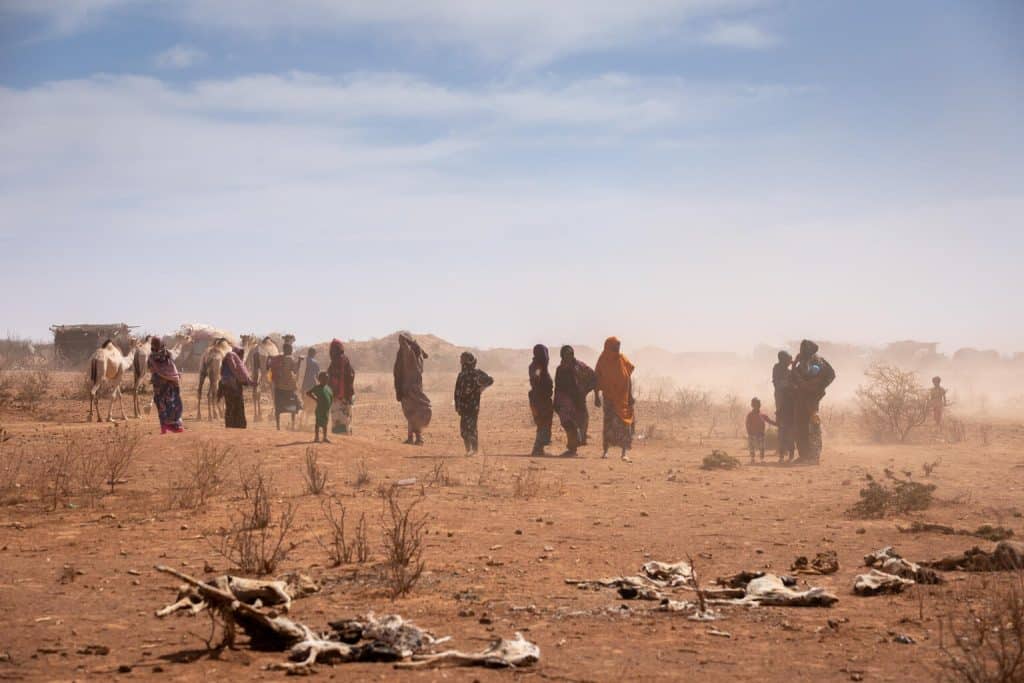 Des femmes et des enfants passent devant des carcasses d’animaux dans le village de Sagalo, dans la région du Somali touché par la sécheresse, alors qu’un vent violent souffle la poussière.