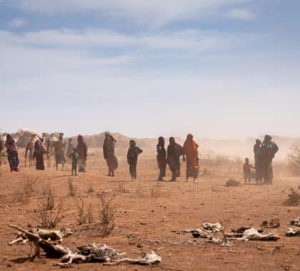 Sécheresse en Ethiopie : les familles au bord du gouffre