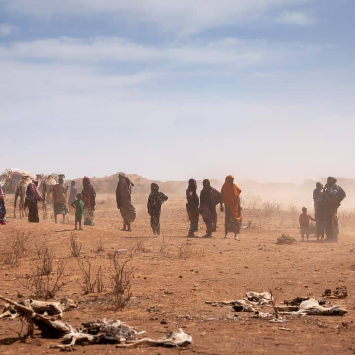 Des femmes et des enfants passent devant des carcasses d’animaux dans le village de Sagalo, dans la région du Somali touché par la sécheresse, alors qu’un vent violent souffle la poussière.