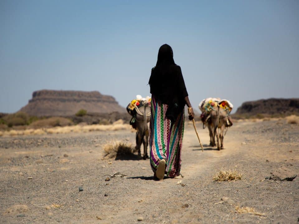 Une femme marche avec du bétail à Afar, dans le nord de l'Éthiopie, le 2 mars 2022.