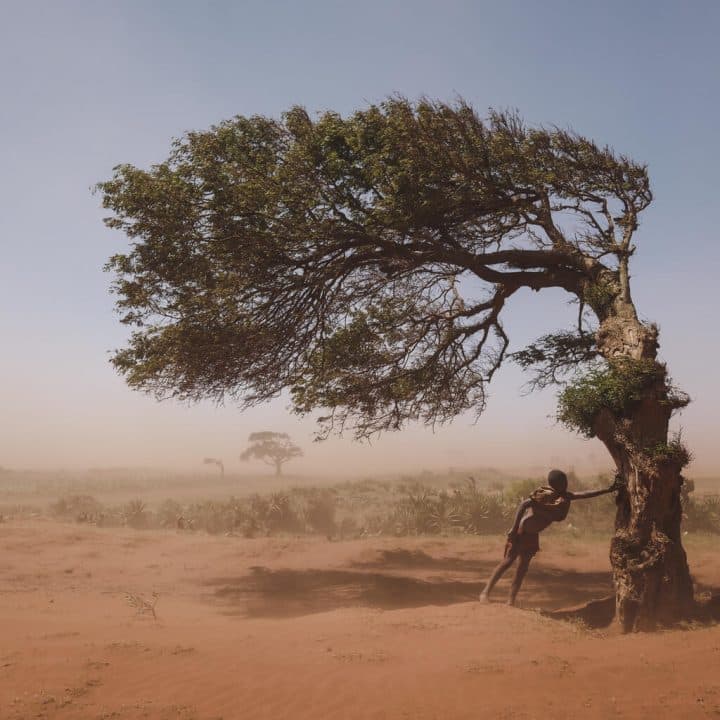 Le 3 février 2022 à Ambovombe, dans la région d'Androy, à Madagascar, un garçon s'abrite sur un arbre pour se protéger du vent de sable. ©UNICEF/UN0595862/Andrianantenaina
