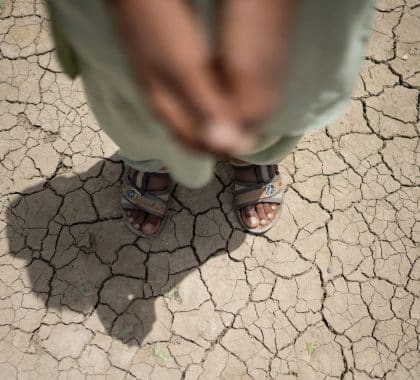 Europe/ Asie centrale: 1 enfant sur 2 exposé aux fortes vagues de chaleur