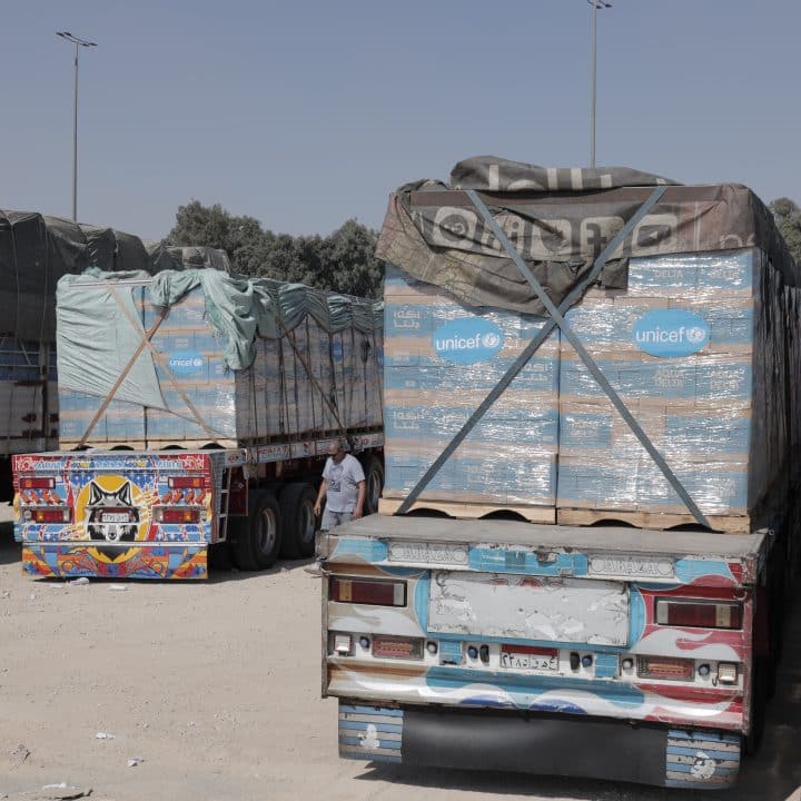 Gaza camions livraison aide humanitaire