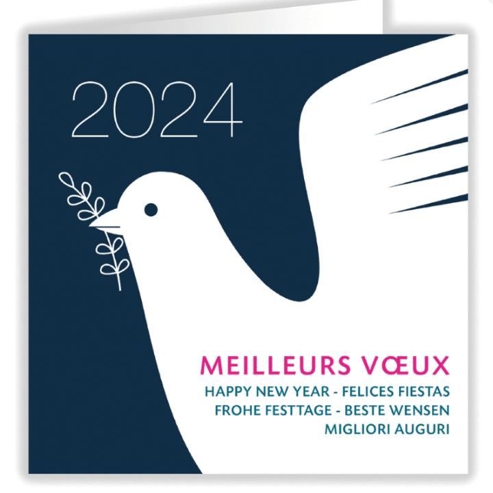 Carte de vœux électronique Entreprise 2024 Plus, plus, plus