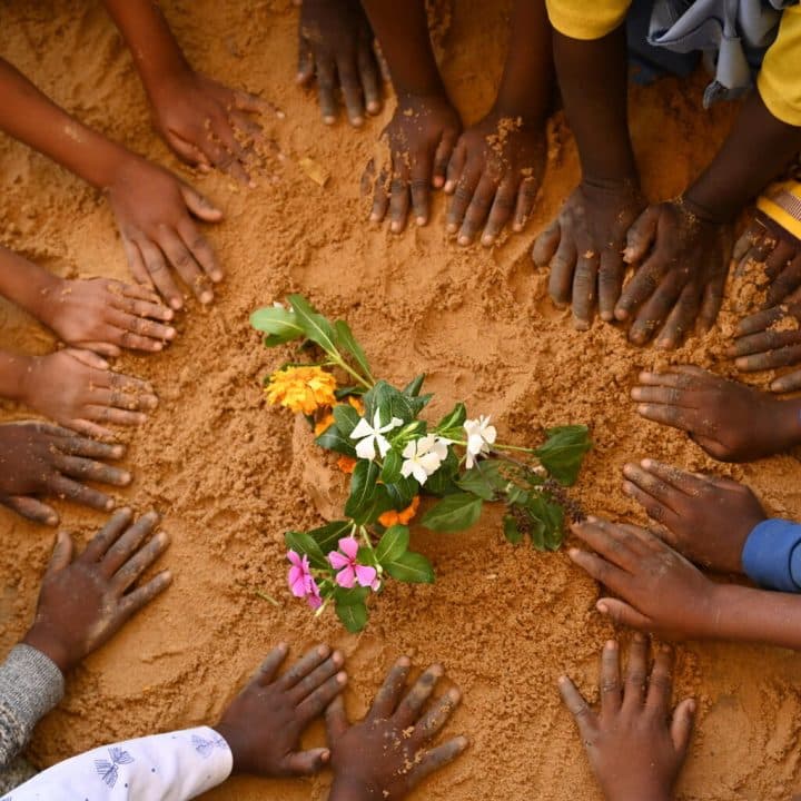 Des enfants plantent des fleurs sur le terrain de jeu de l'école maternelle JEP à N'Djamena, au Tchad. ©UNICEF/UN0794851/Dejongh