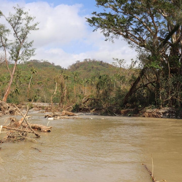 Vanuatu cyclone
