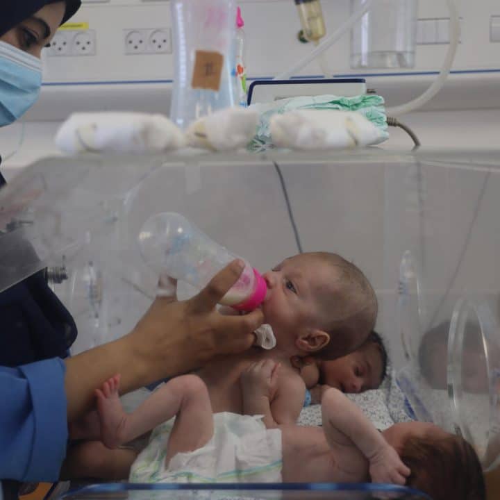 Gaza hôpital bébé biberon couveuse