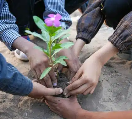 Les jeunes s’inquiètent de ne pas avoir les compétences vertes nécessaires pour agir efficacement contre le changement climatique