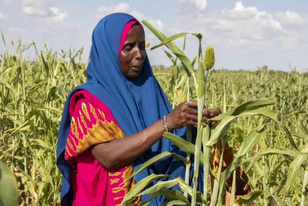 En Somalie, Fatuma Abdulahi Mohamed a perdu tout son bétail à cause de la sécheresse. Elle a dû quitter sa maison à Hudor et marcher seule avec ses 9 enfants, à la recherche d'une aide.© UNICEF/UNI534927/Hill