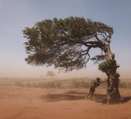 À Madagascar, la crise climatique bouleverse le quotidien 