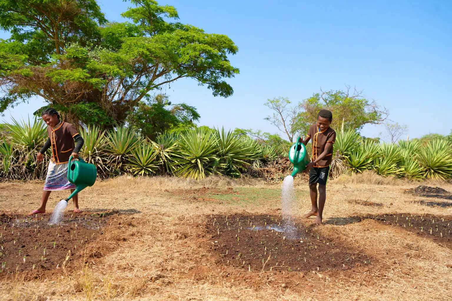 © UNICEF/UNI474680/Ramasomanana