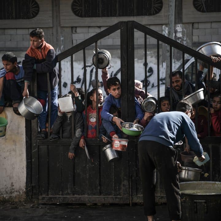 Des enfants, attendent dans une longue file pour recevoir une petite quantité de nourriture dans la ville de Rafah, au sud de la bande de Gaza. Au moins 1 ménage sur 4 est confronté à des niveaux catastrophiques d'insécurité alimentaire aiguë, le niveau d'alerte le plus élevé de l'IPC. © UNICEF/UNI495580/ZAGOUT