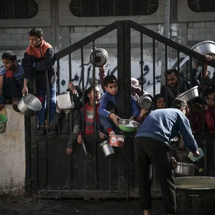 Des enfants, attendent dans une longue file pour recevoir une petite quantité de nourriture dans la ville de Rafah, au sud de la bande de Gaza. Au moins 1 ménage sur 4 est confronté à des niveaux catastrophiques d'insécurité alimentaire aiguë, le niveau d'alerte le plus élevé de l'IPC. © UNICEF/UNI495580/ZAGOUT