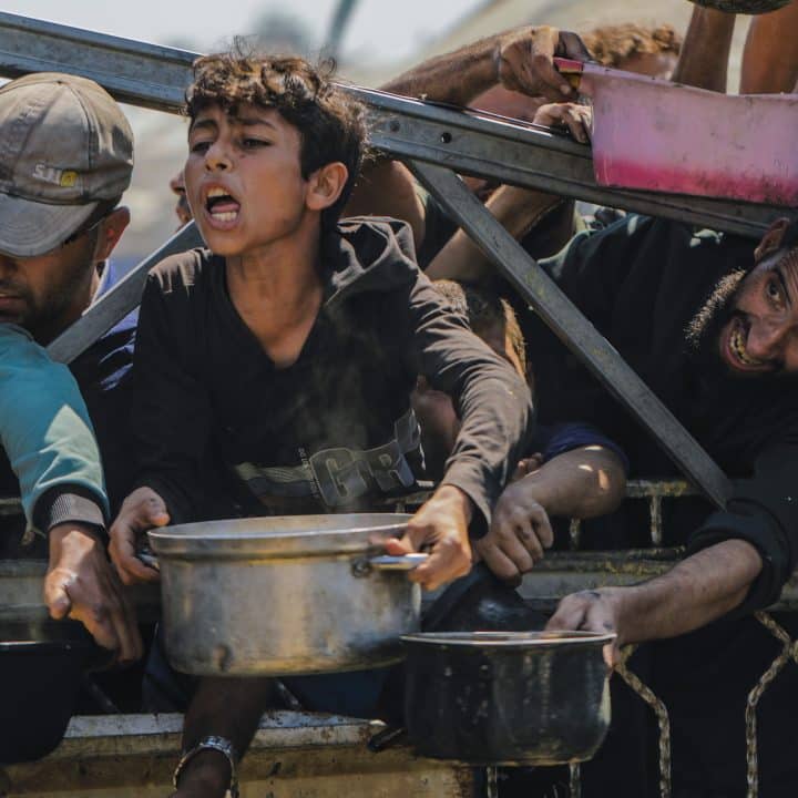 [Gaza Famine] Après 21 mois de guerre, ce ne sont plus seulement les bombes et les balles qui menacent la vie des enfants, mais aussi la faim. Les taux de malnutrition n'ont cessé d'augmenter depuis mars 2025. Selon le ministère palestinien de la Santé, au 20 juillet, 80 enfants étaient morts de malnutrition. Ces photos, prises le 16 juillet 2025 à Gaza, traduisent le désespoir et la peur qui s'emparent de la population. © UNICEF/UNI836420/Nateel