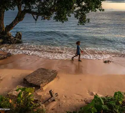 Les droits de l’enfant au cœur de la crise climatique 