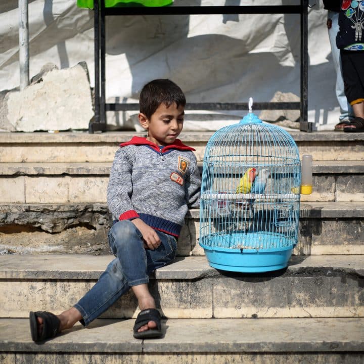 © UNICEF/UNI501900/El Baba