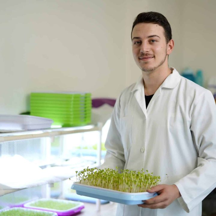 Au Liban, Sarkis a fondé 